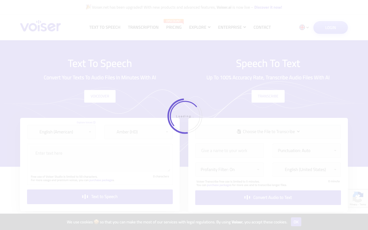 Voiser product screenshot